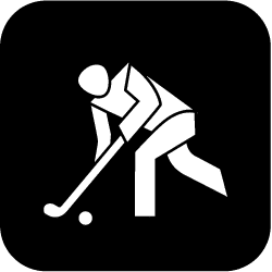 Icon Hockey