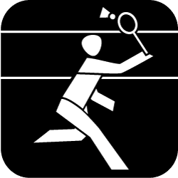 Icon Para-Badminton