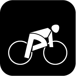 Icon Para-Radsport