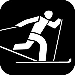 Icon Para Ski nordisch