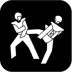 Icon Taekwondo